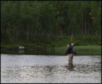 Bifogad bild: norge2010augusti692.jpg